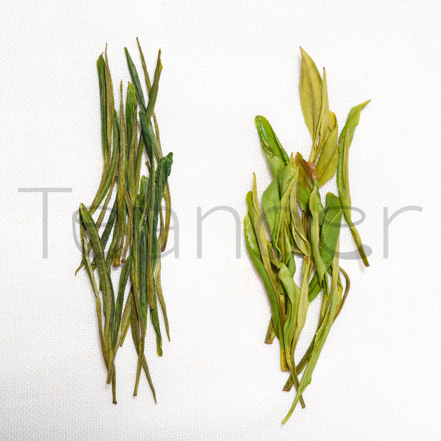 2025 An Ji Bai Cha - Teander