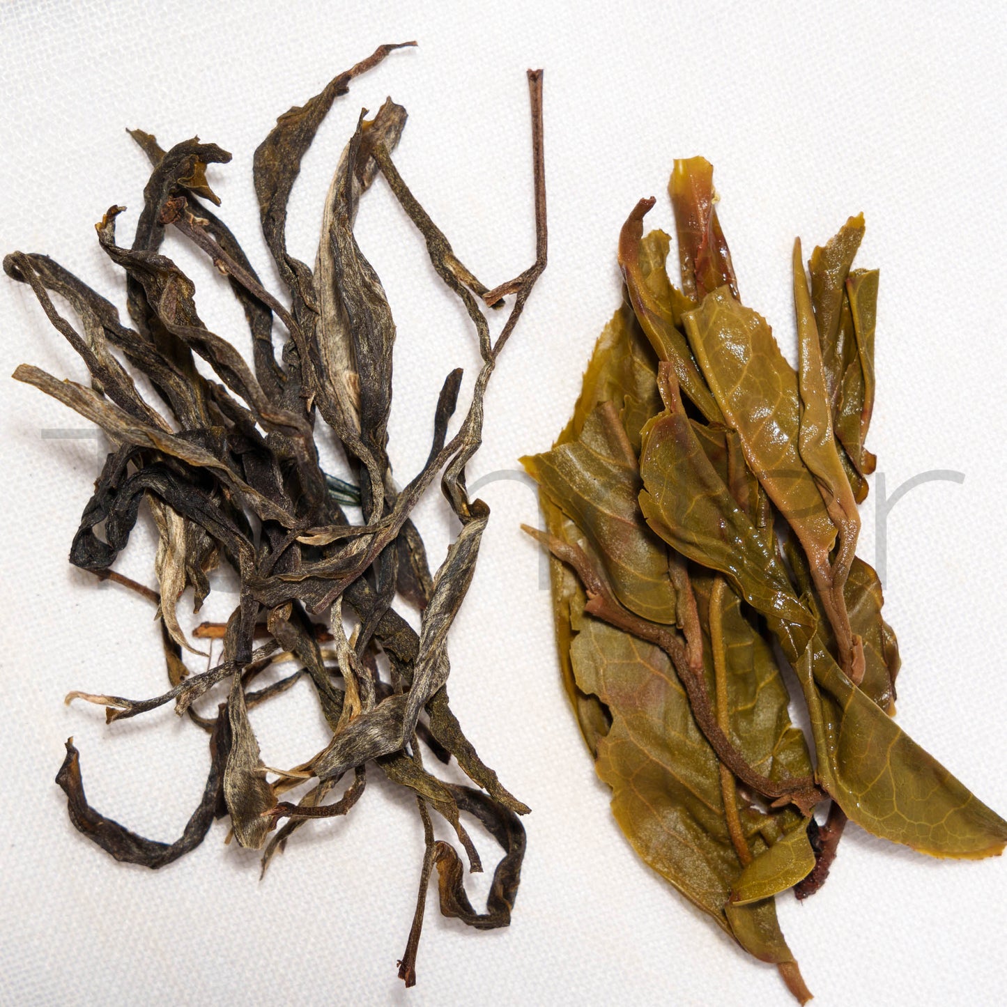 Bingdao Mao Cha - Teander