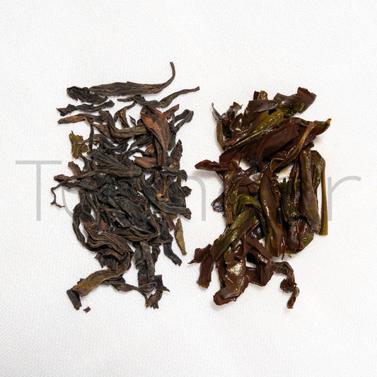 Da Hong Pao 2024 - Teander