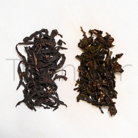 Da Hong Pao 2025 - Teander