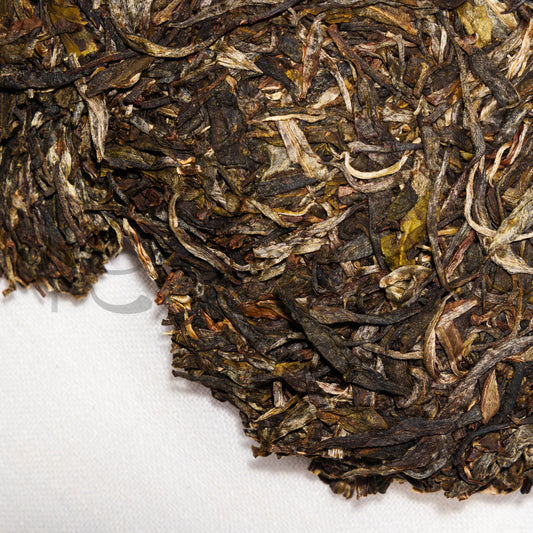 Jingmai Sheng - Teander