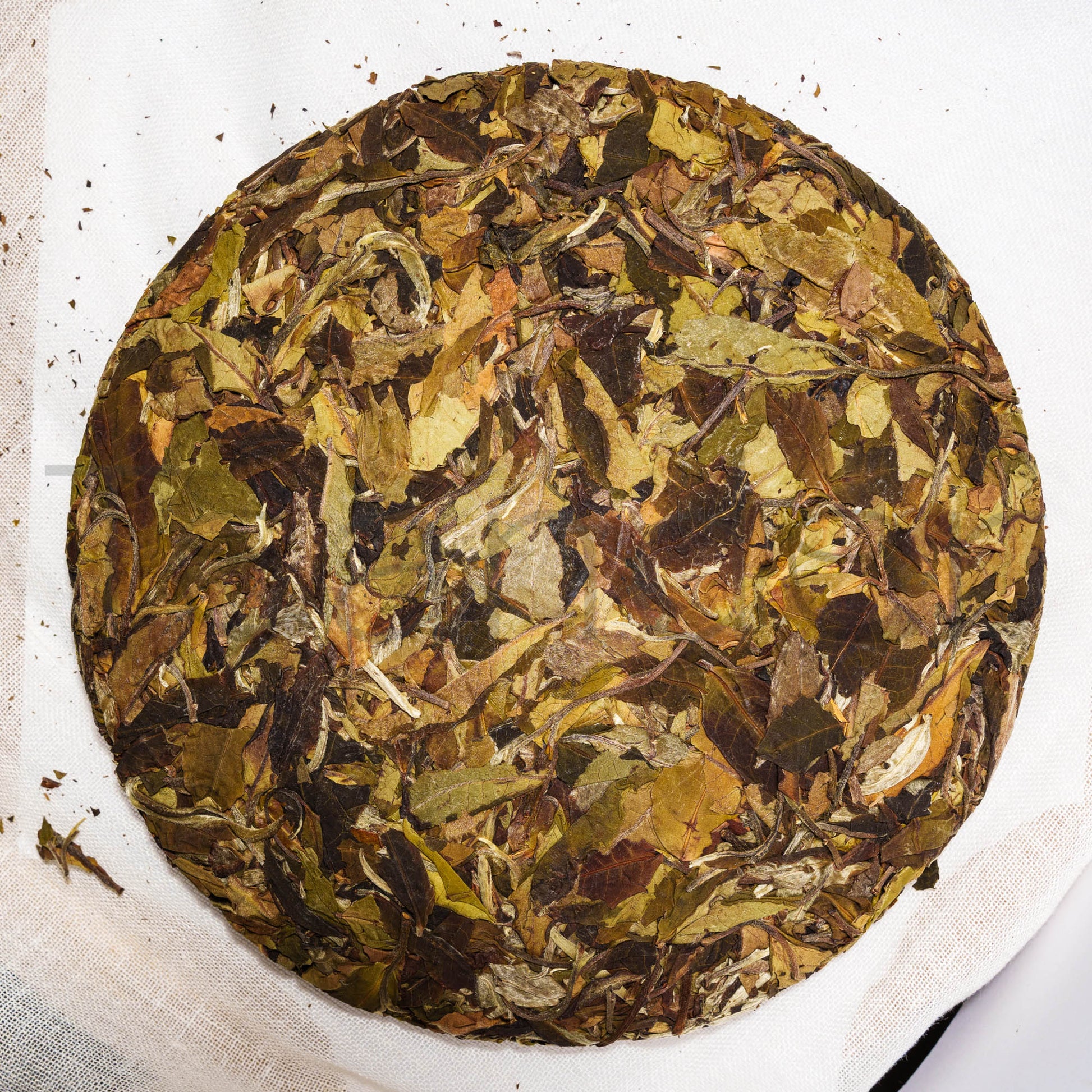 2019 Lao Bai Cha Gu Shu - Teander