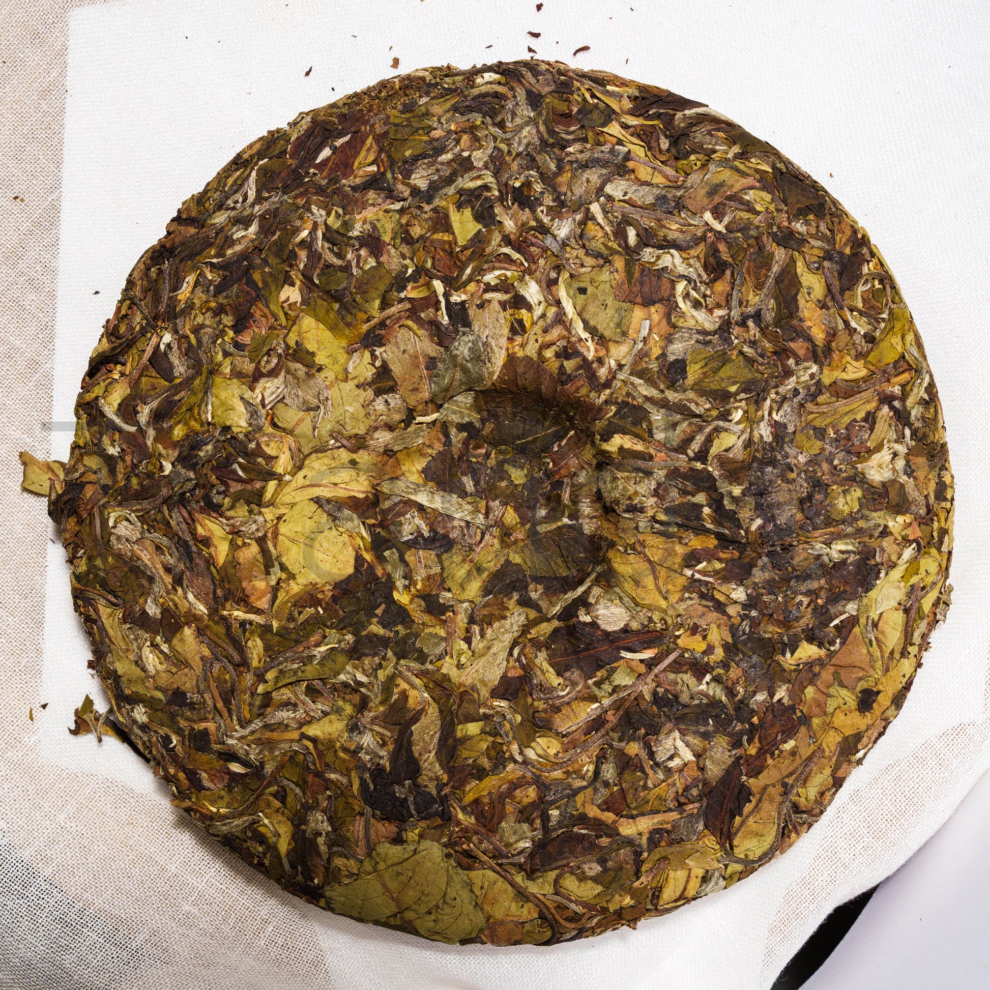 2019 Lao Bai Cha Gu Shu - Teander