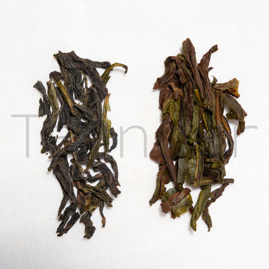 Phoenix Mi Xiang - Teander