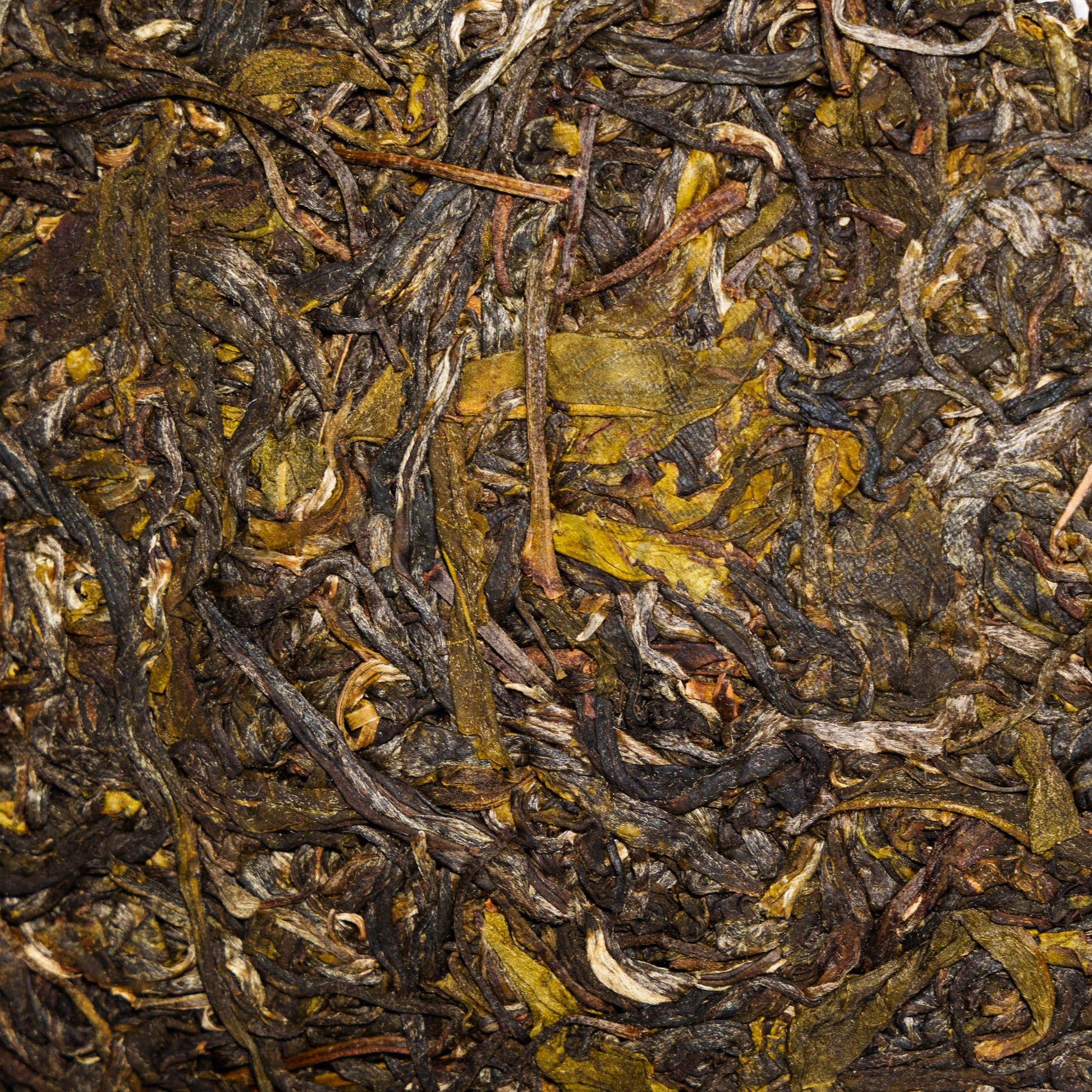 2019 Sheng Pu-erh - Teander