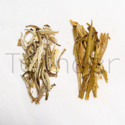 Jasmine Silverneedle - Teander